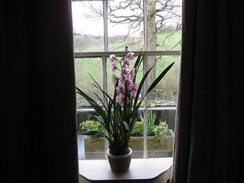Pen Mill Hotel Yeovil Eksteriør bilde